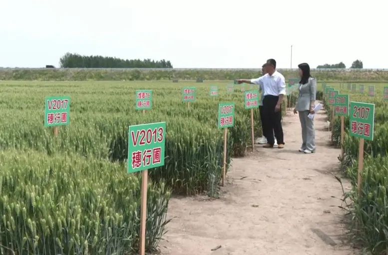 齐河科技资讯采购招标(齐河科技资讯采购招标网)下载