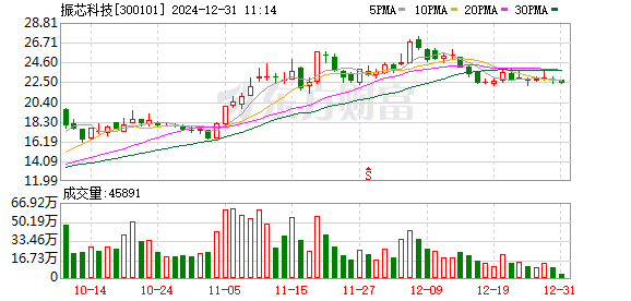 巨潮资讯网振芯科技(2025有望翻十倍的低价股票)下载