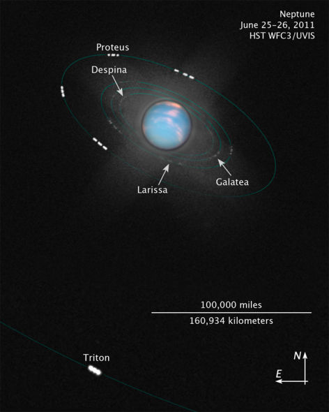 海王星科技资讯(海王星投资控股有限公司)下载